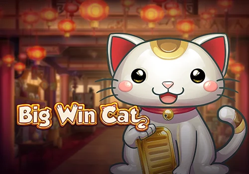 Big Win Cat