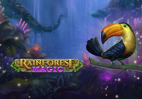 Rainforest Magic